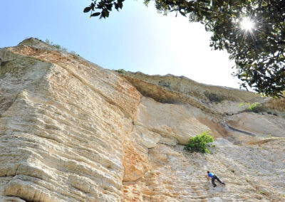 ESTATE A VILLANOVA MONTELEONE